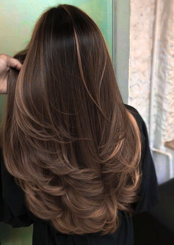 Hazelnut Hair Highlights, Cute Highlights For Brown Hair Straight, Dark Brown Hair With Hazelnut Highlights, Layers With Highlights Brunettes, Hazelnut Brown Highlights, Brown Hair With Hazelnut Highlights, Hazelnut Hair With Highlights, Hazelnut Brunette Hair, Hazelnut Brown Hair Balayage