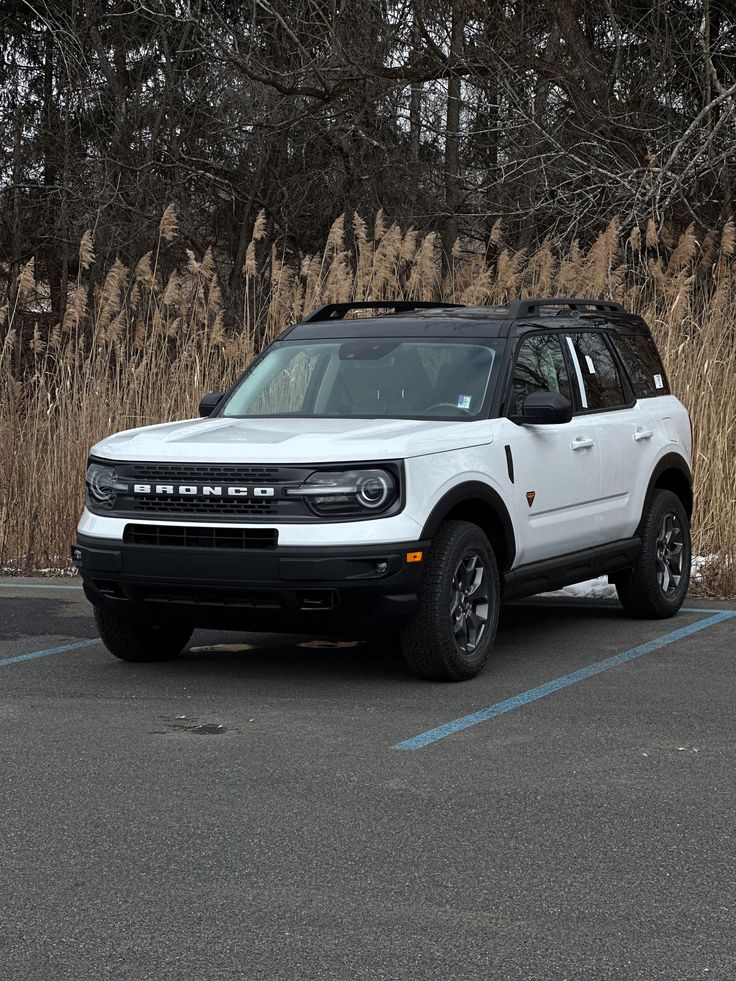 a white suv parked in a parking lot next to some tall brown grass and trees