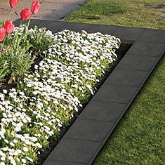 some red and white tulips are in a flower bed on the grass near a sidewalk