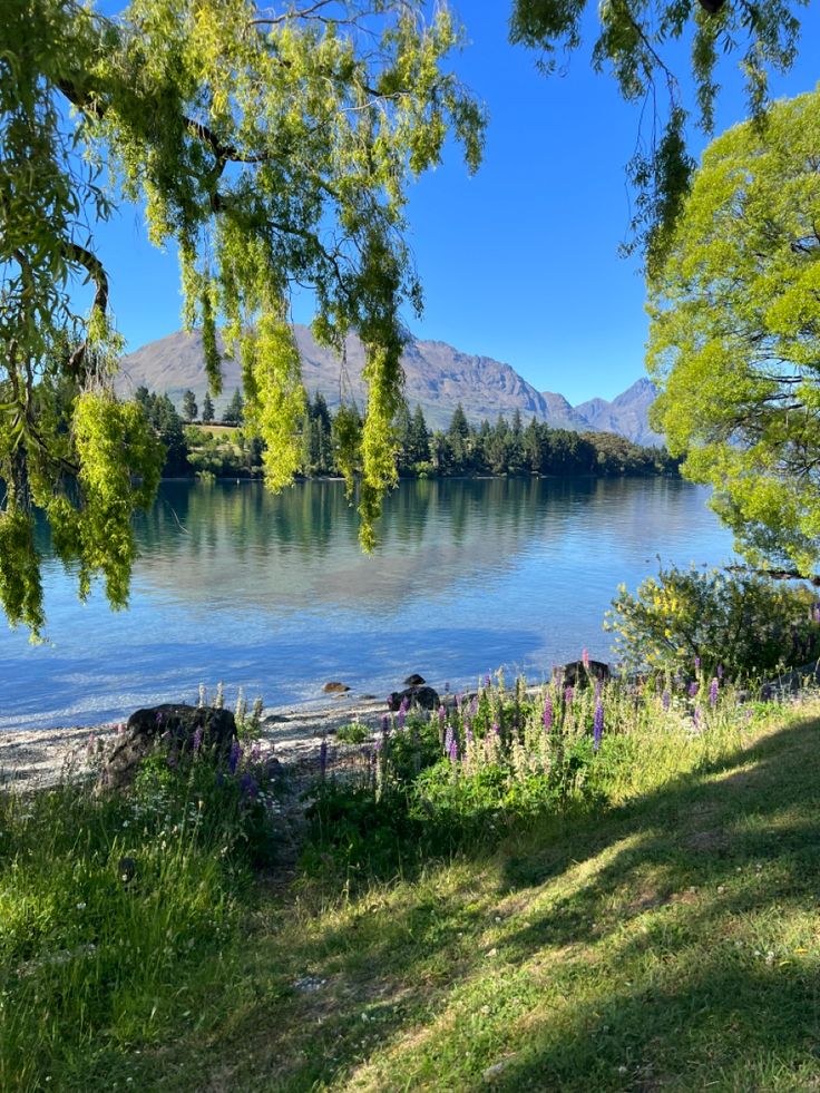 a lake surrounded by trees and grass with mountains in the background