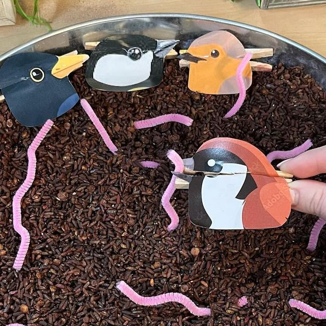 Polly on Instagram: "🪱Peck a Worm🪱 Super simple fine motor activity this week.  I added some ‘soil’ (dyed rice) to a tray and put in some pink pipe cleaners to act as worms.  I then added some bird heads to pegs and challenged the children to open the birds mouth to peck up a worm to eat.  . . . . . Birds #bookplaybingo Birds #playinjanuary Birds #january_play . #continuousprovision #eyfs #earlyyears #naturalclassroom #allaboutearlyyears #playingislearning #eyfsclassroom #passionforprovision #inspire_play_learn #playinprovision #magicofprovision #eyfsteacher #eyfsideas #eyfsclassroom #playandlearntoday  #earlyyearsplayshare #enchantingearlyyears #winninginprovision #learningwiththesmalls" Bird Eyfs Activities, Learning About Animals Preschool, Bird Week Activities, Bird Sensory Activities, Animal Habitats Preschool Crafts, Food Themed Activities For Toddlers, Superworm Activities Eyfs, Special Needs Crafts, Preschool Bird Activities