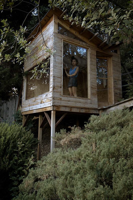 a person standing in the window of a tree house