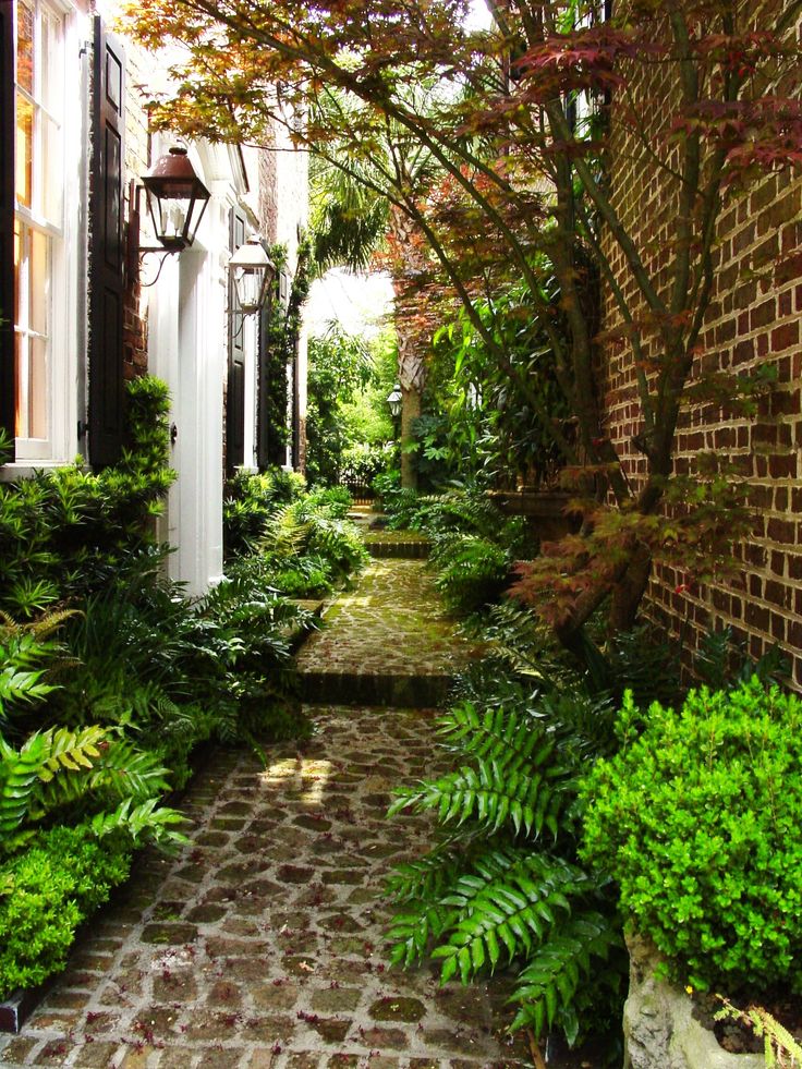 a brick walkway with lots of plants and trees