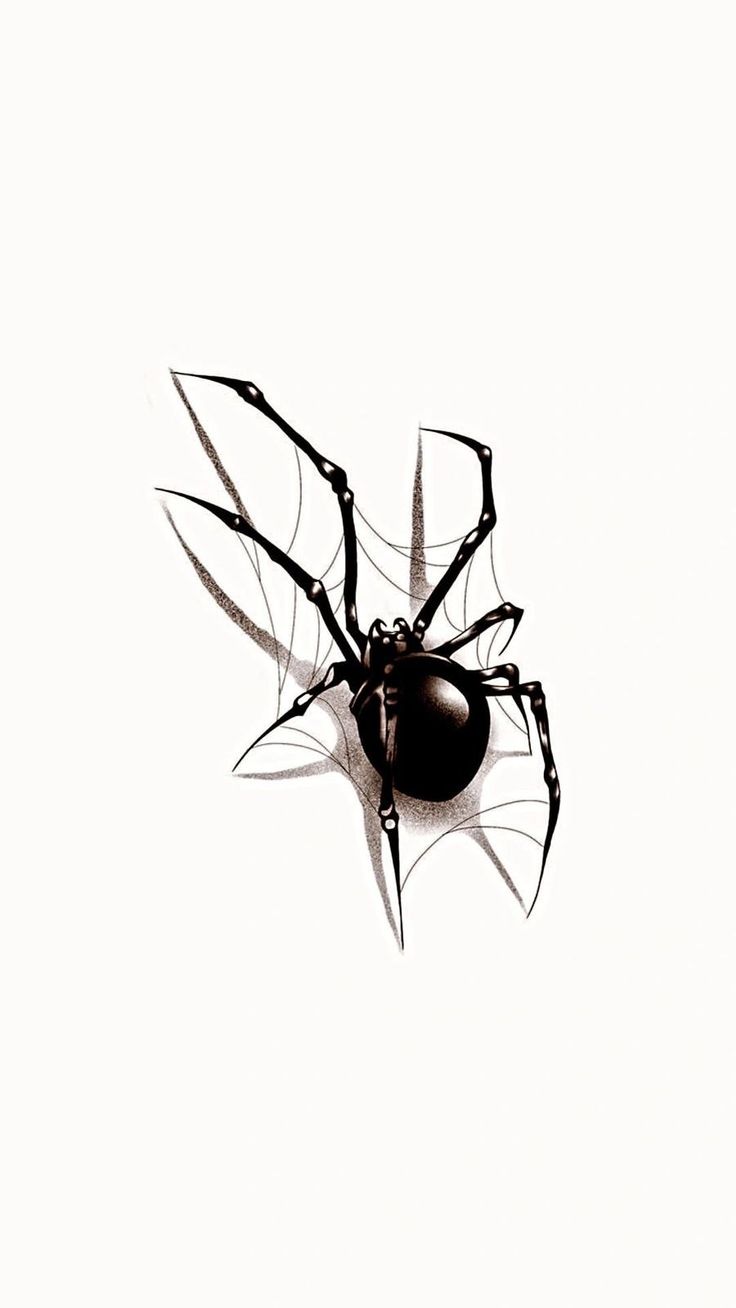 a black and white photo of a spider