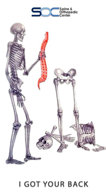 Orthopedic #Joke: "I got your back."  Funny spine medical joke with skeleton.  Whose back do you have? Tag a friend. Skeleton Jokes, Bulletin Ideas, Medical Jokes, Party Jokes, Funny Medical, Halloween Puns, Dry Needling, Halloween Jokes, Kinesio Taping