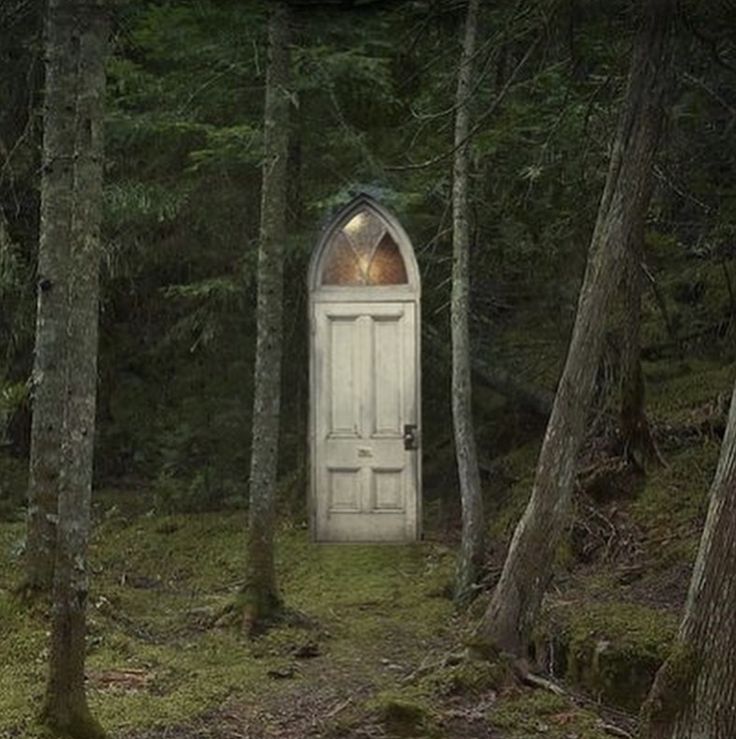 a white door in the middle of a forest