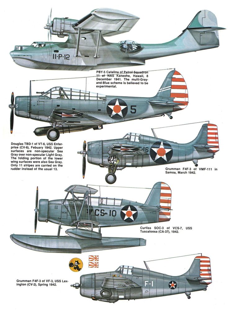 Aircraft Camouflage, Ww2 Fighter Planes, Naval Aviator, Wwii Fighter Planes, Us Navy Aircraft, Us Military Aircraft, Wwii Airplane, The Fighter, Wwii Fighters