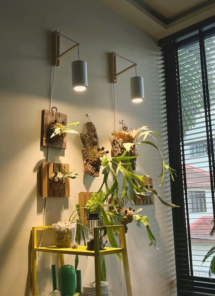 a room with some plants and lights on the wall