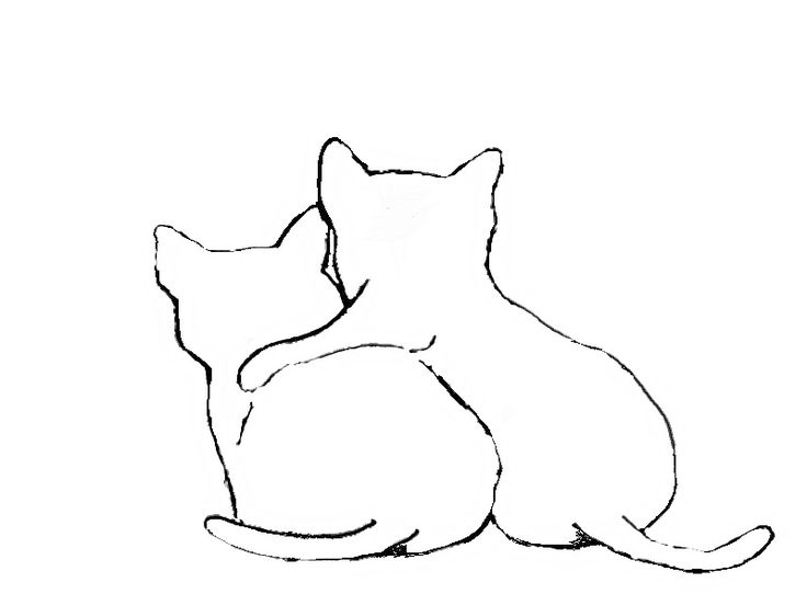 two cats sitting next to each other on a white background