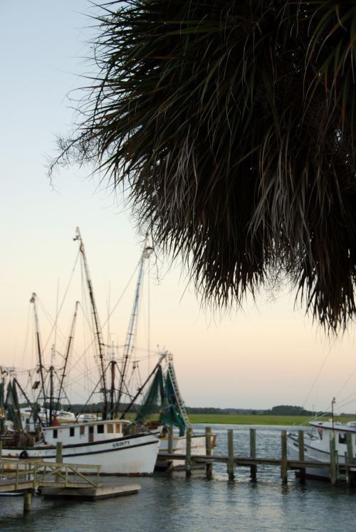 several boats are docked in the water next to a dock with grass hanging from it