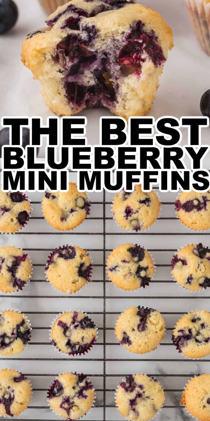 blueberry muffins cooling on a rack with the words, the best blueberry mini muffins