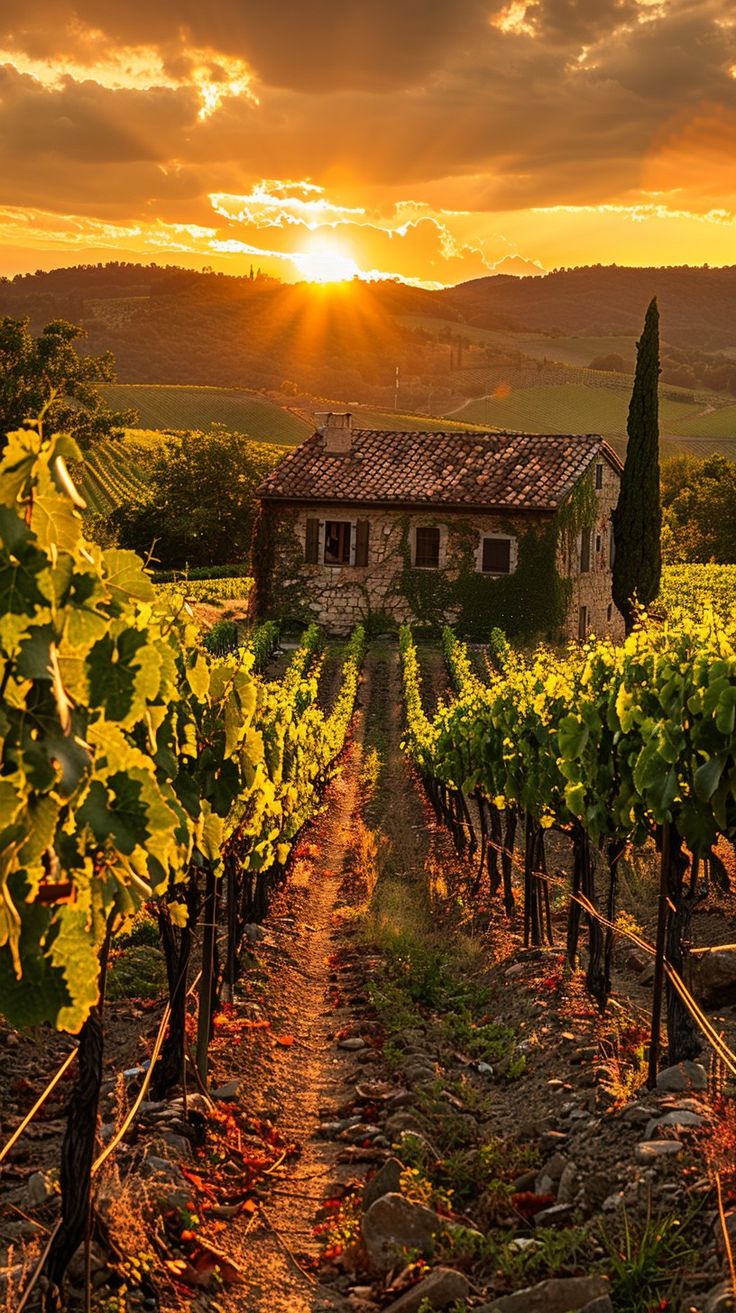 the sun is setting over an old house and vineyard