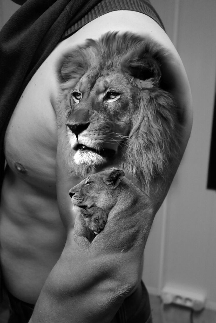 a man with his arm wrapped around a lion and two lions on the other hand