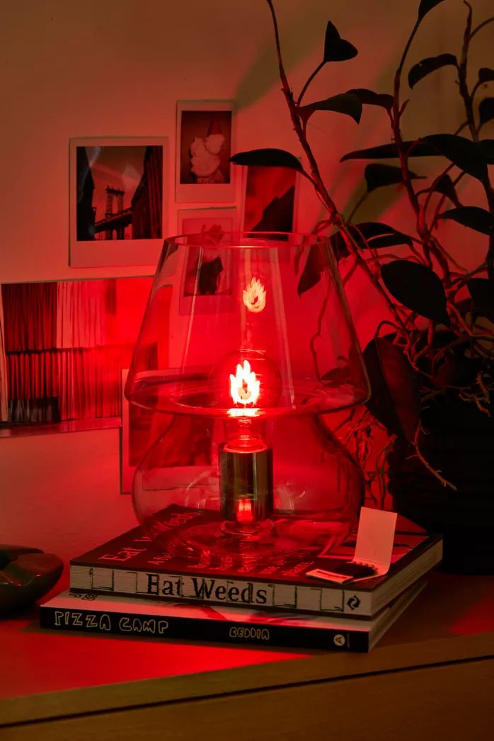 a lamp that is on top of some books in front of a potted plant