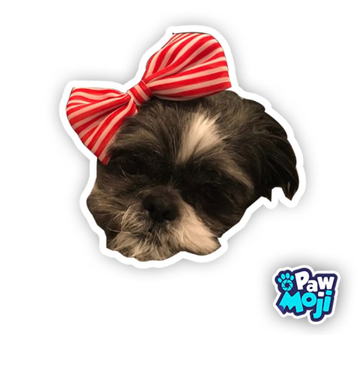 a black and white dog with a red bow on it's head sticker