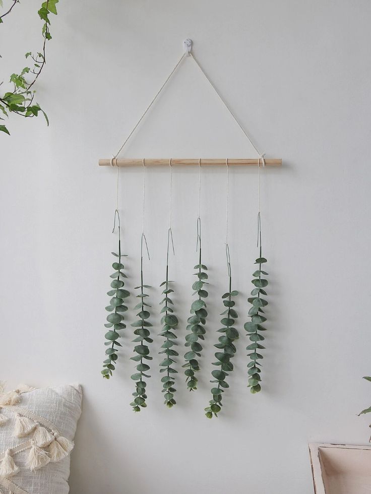 some plants are hanging on the wall