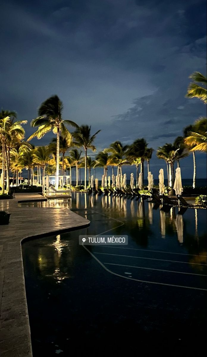 an empty swimming pool surrounded by palm trees at night with the moon in the sky