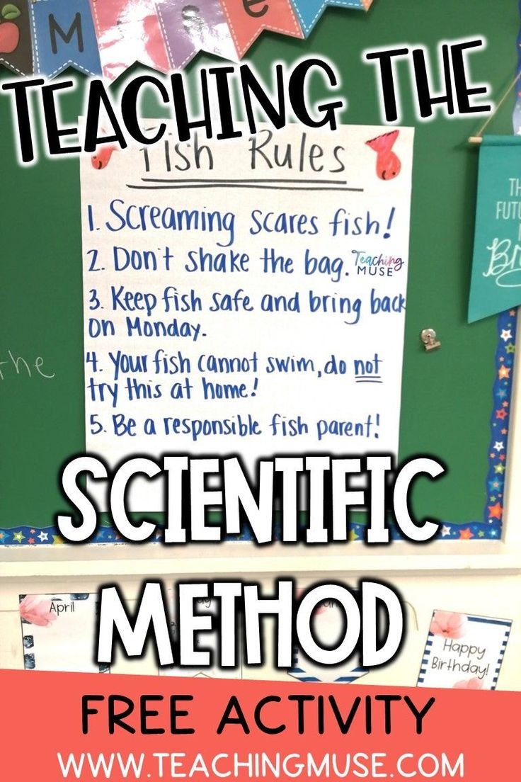 a sign that says teaching the fish rules on it and below it is an image of a