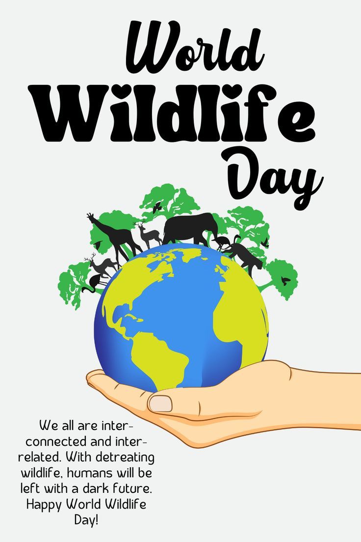 World Wildlife Day! Wildlife Conservation Poster, World Wild Life Day, Energy Conservation Poster, Conservation Poster, World Wildlife Day, Korean Fashion Summer Casual, Life Slogans, Green Event, Wildlife Day