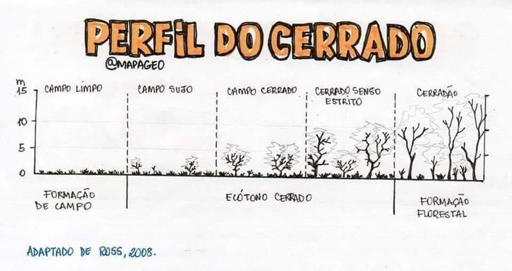 a diagram showing the different types of trees and how they are used to grow them