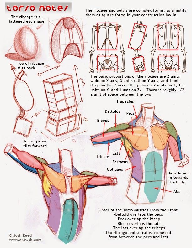 an image of the back of a man's head and torso, with instructions on it