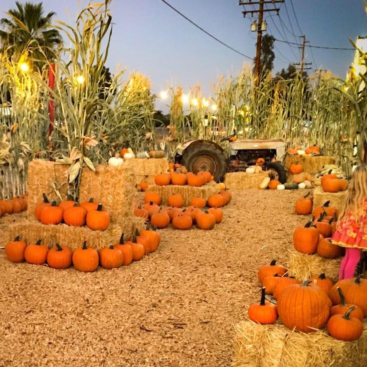 pumpkins and hay bales are arranged on the ground