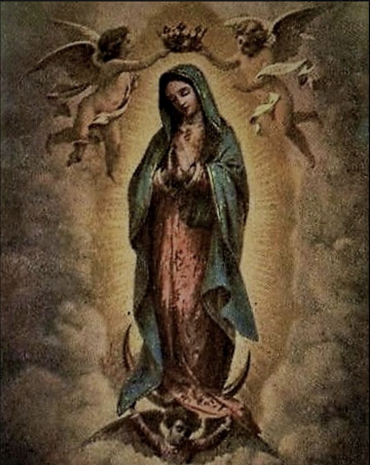 an image of the immaculate mary