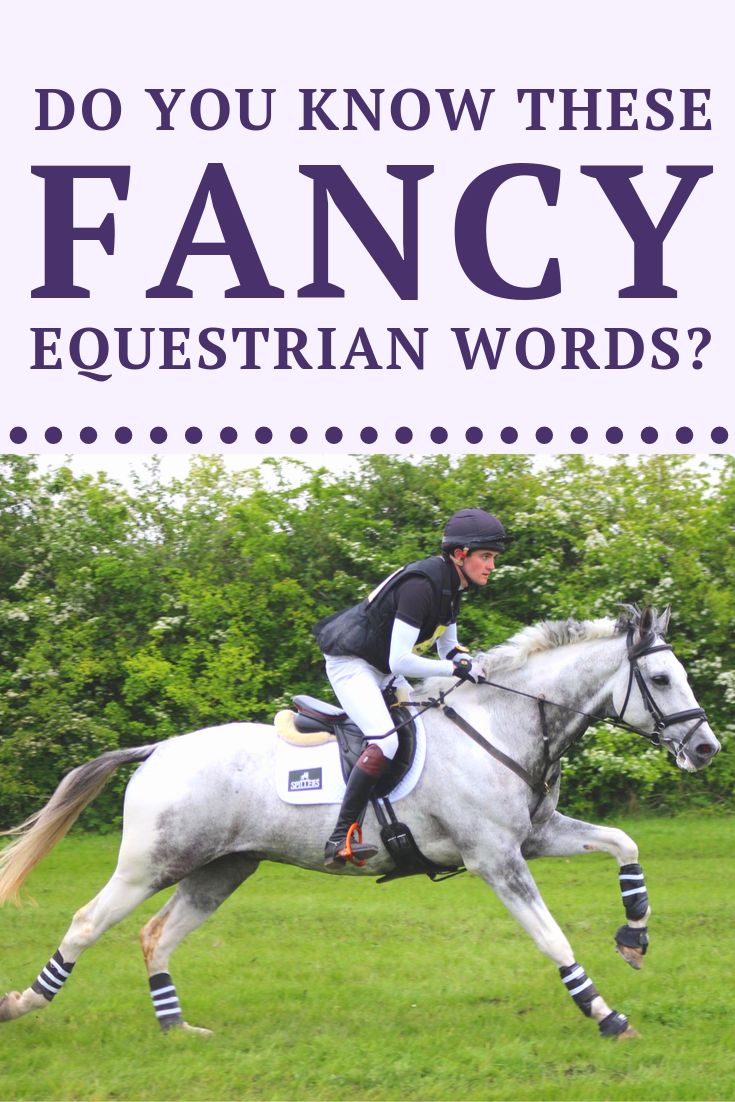 a person riding on the back of a white horse in a field with trees behind them