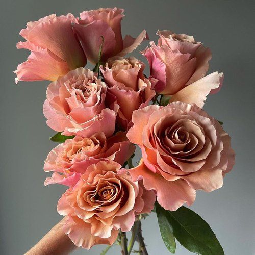 a vase filled with pink flowers on top of a table