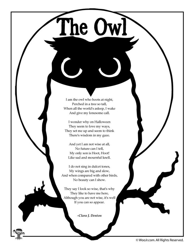 an owl with the words'the owl'written in black and white on it