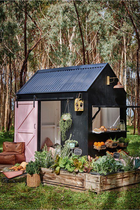 a small black shed sitting in the middle of a forest filled with lots of vegetables