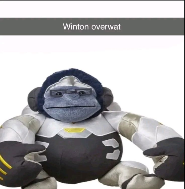 an image of a stuffed animal that looks like a gorilla with the caption winton overwatt