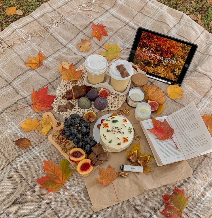 a table topped with lots of food on top of a plaid covered blanket next to an open book