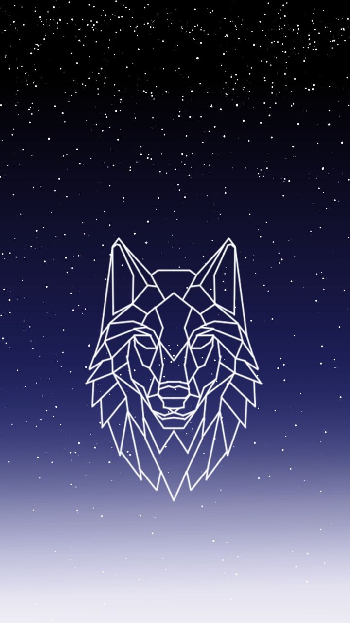 a stylized image of a wolf's head in the night sky