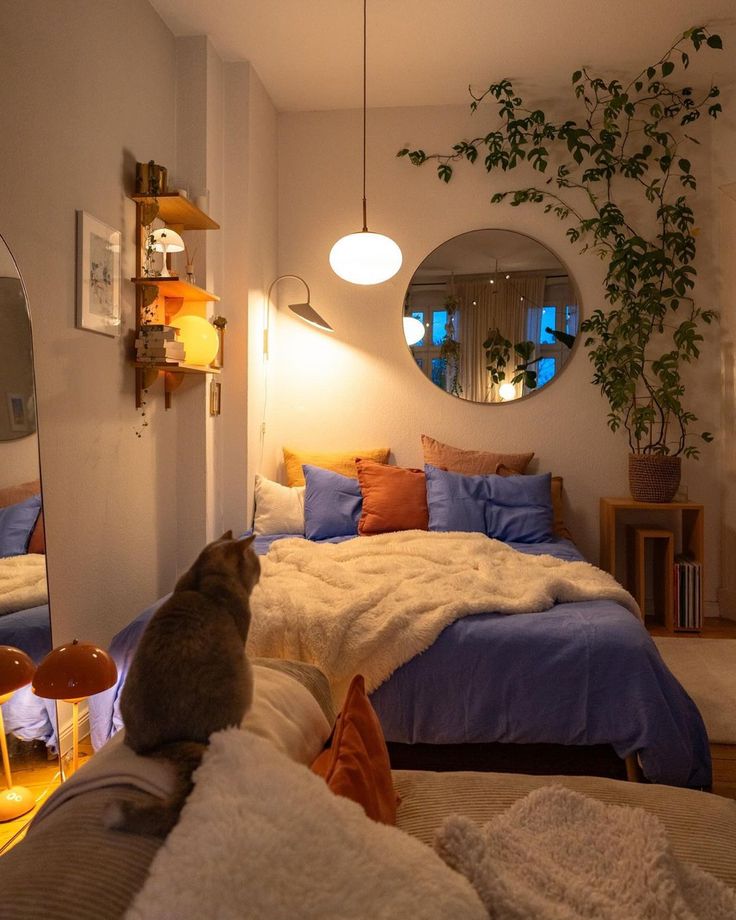 a cat sitting on the edge of a bed in a room with plants and lights