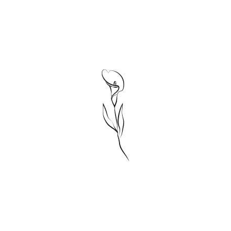 a line drawing of a single flower