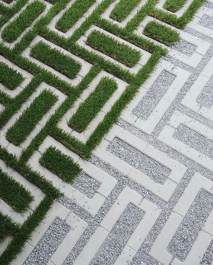 the grass is growing in the shape of a maze