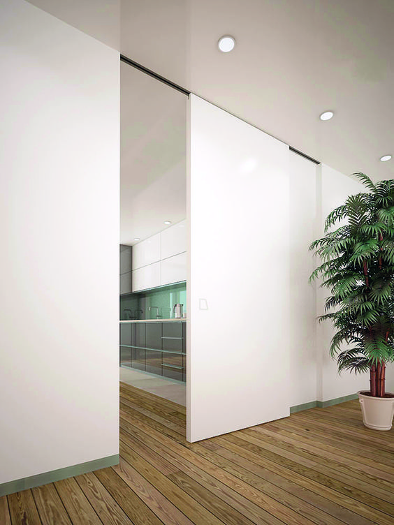 there is a potted plant in the corner of this room with white walls and wood flooring