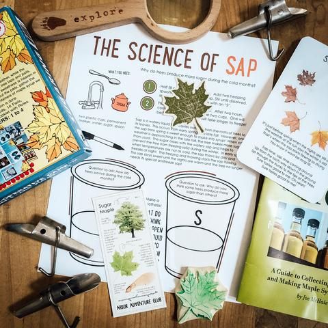 the science of sapp is on display with other items including scissors, cards and paper