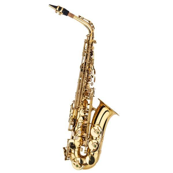 a saxophone is shown against a white background