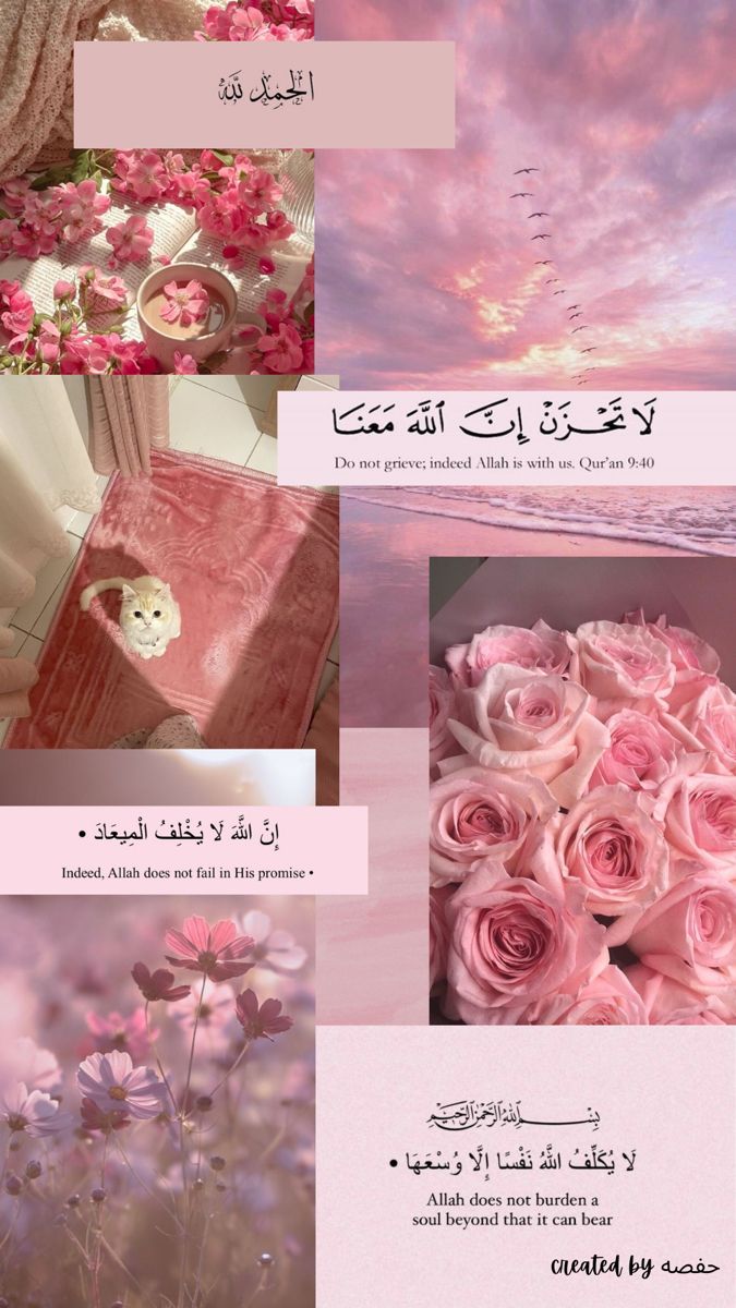 some pink flowers are in the middle of several different pictures with arabic writing on them