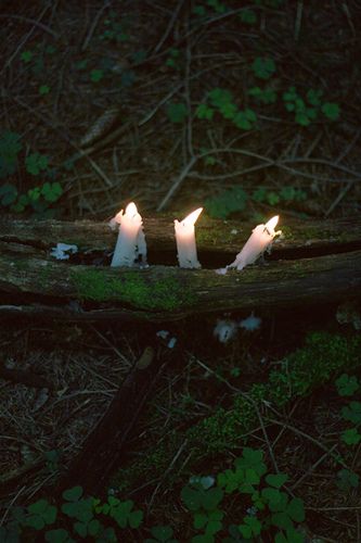 four lit candles sitting on top of a log in the woods