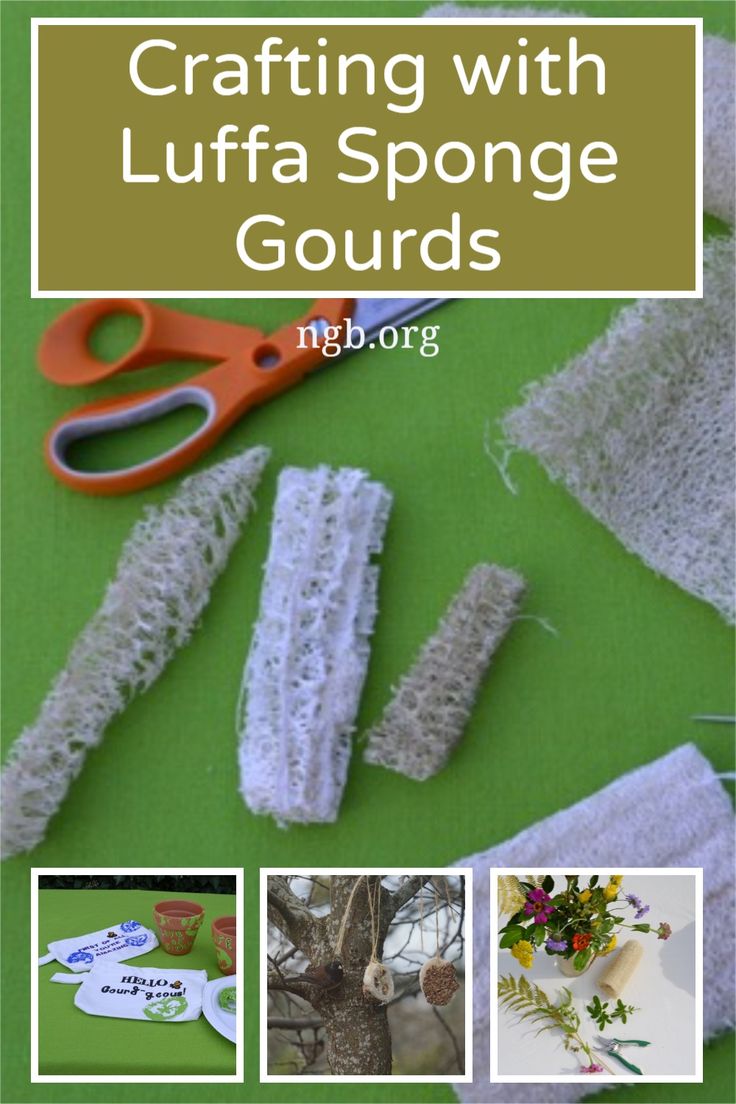 crafting with luffa sponge gourds