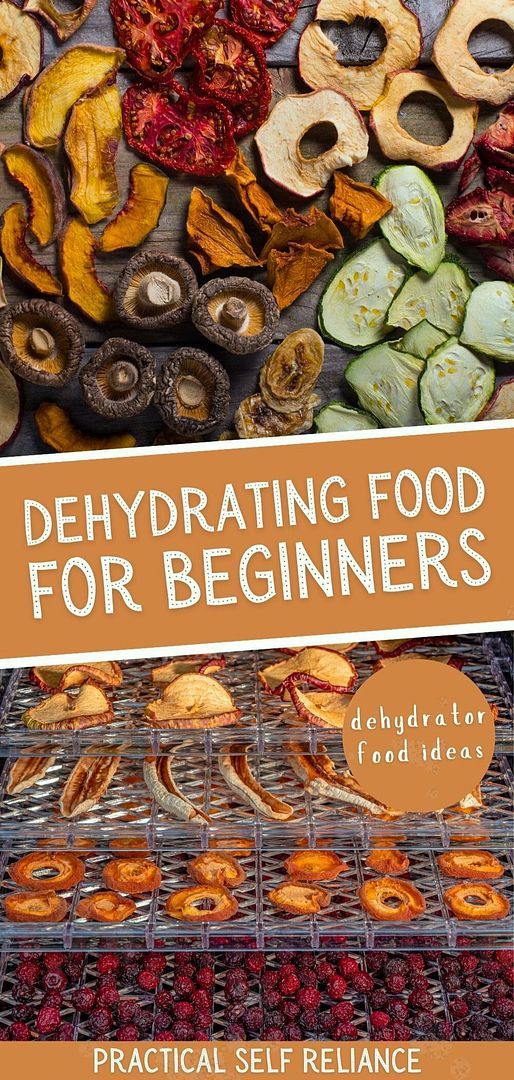 the cover of an article about dehydrating food for beginners, including dried fruits and vegetables