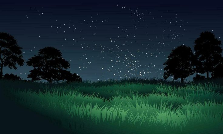 the night sky is full of stars and green grass