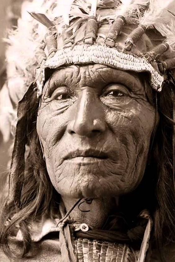 Native American Wisdom, American Indian History, Native American Warrior, Native American Chief, Native American Images, Native American Men, Native American Pictures, American Photo, Native American Artwork