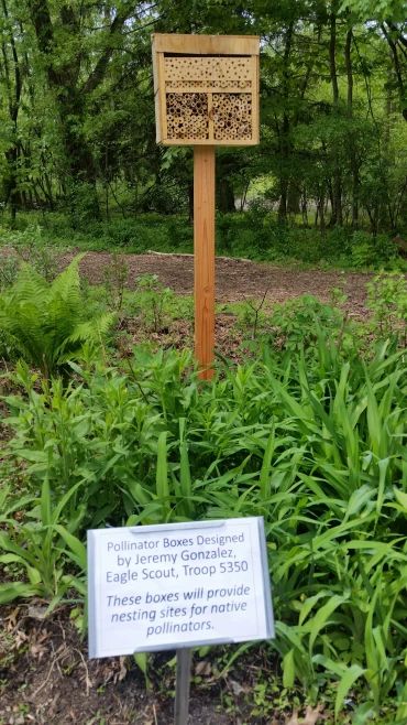 a wooden sign sitting in the middle of a lush green forest next to tall grass