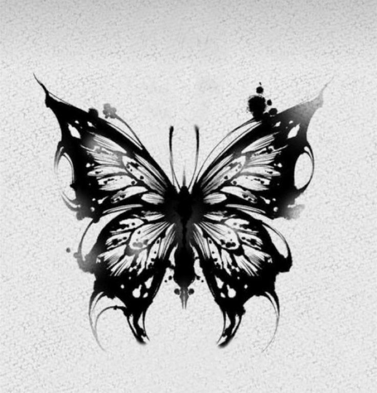 a black and white image of a butterfly