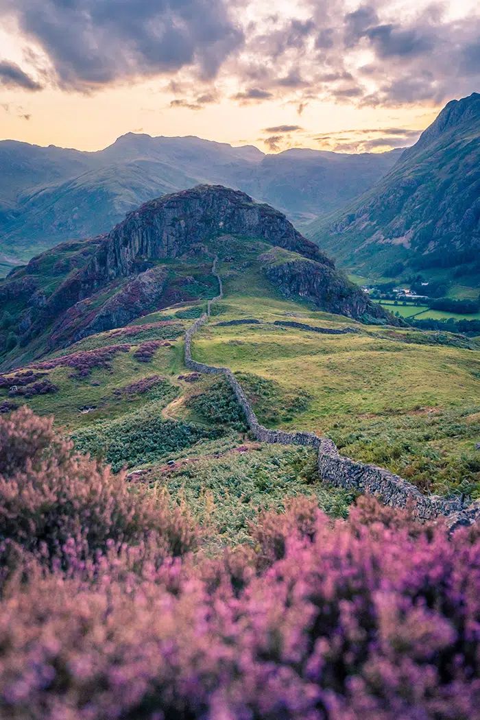 the mountains are covered in purple flowers as the sun sets over them and there is a path going through it