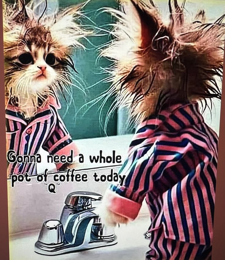 two cats in pajamas standing next to each other near a faucet and sink